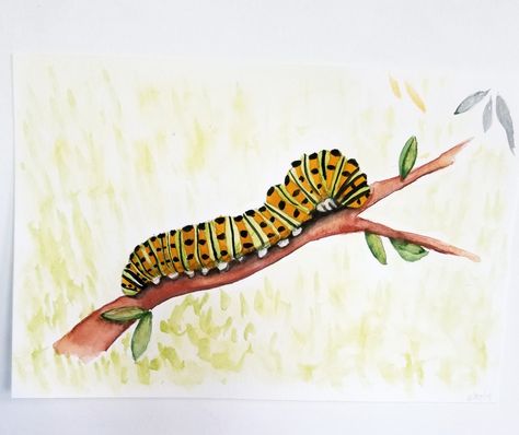 Lesson 2, Watercolor with Me in the Forest by Dana Fox.  This was a fun little picture.  #everydaywatercolor #watercolor #watercolorwithme #caterpillar Watercolor Caterpillar, Caterpillar Painting, Caterpillar Drawing, Watercolor Painting Easy, Monarch Butterfly Garden, Crawdads Sing, Waldorf Art, Natural Form Art, Watercolor Paintings Nature