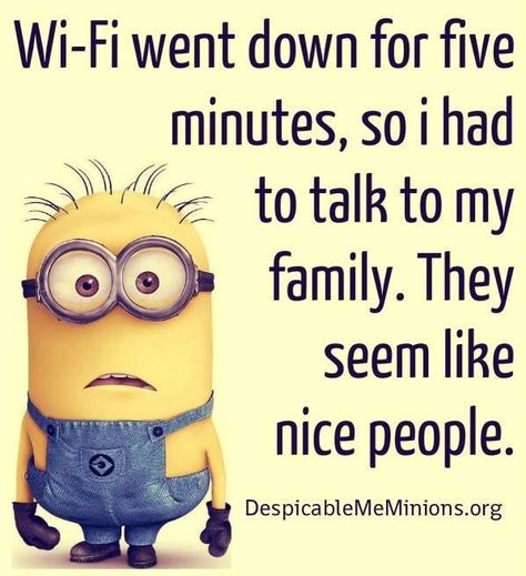 Funny Minion Memes So True, Funny Brother Quotes, Minion Memes, Minions Humor, Funny Minion Pictures, Funny Minion Memes, Minion Pictures, Minion Jokes, A Minion