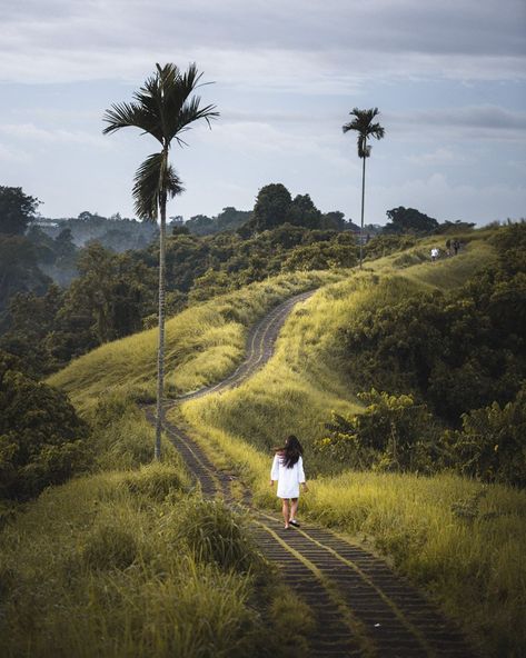 Campuhan Ridge Walk, Fairy Photography, Bali Retreat, Bali Guide, Voyage Bali, Tiny Island, Nusa Penida, Full Time Travel, Secret Beach