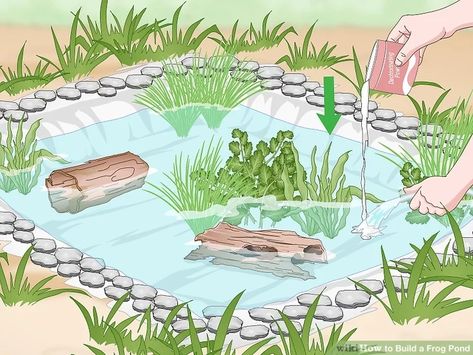 How to Build a Frog Pond (with Pictures) - wikiHow Frog Houses Diy, Pig Pond Ideas, Backyard Frog Habitat, Frog Pond Diy, Easy Ponds Diy, Diy Wildlife Pond, How To Make A Pond, Frog Pond Ideas, Small Wildlife Pond Ideas