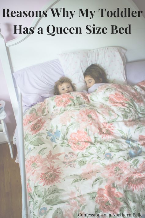 Reasons Why Your Toddler Needs a Queen Size Bed Shared Girls Room Queen Bed, Queen Bed In Kids Room, Toddler In Queen Size Bed, Queen Size Bed For Kids, Kids Bedroom Queen Size Bed, Full Size Bed For Toddler Girl, Kids Room With Full Size Bed, Queen Bed Kids Room, Full Bed Toddler Room