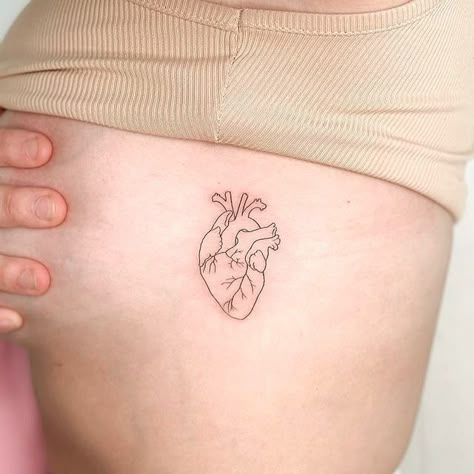 Anatomical Heart And Lungs Tattoo, Black And White Anatomical Heart Tattoo, Anatomical Heart Outline Tattoo, Heart Tattoo On Heart, Fineline Anatomical Heart Tattoo, Atomical Heart Tattoos Simple, Anatomical Heart Chest Tattoo, Tiny Anatomical Heart Tattoo, Biological Heart Tattoo