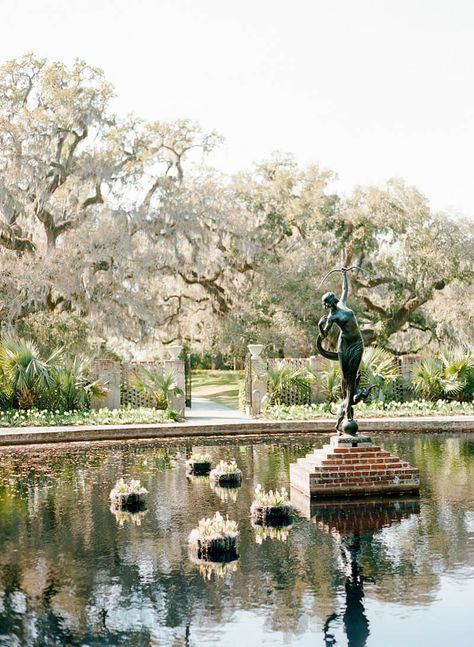 Brookgreen Gardens, Murrells Inlet Sc, Romantic Story, Murrells Inlet, Photography Themes, South Carolina Wedding, The Carolinas, Romantic Stories, Plan My Wedding