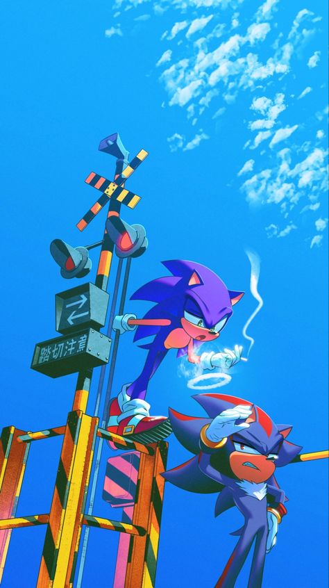 Shadow Sonic, Sonic Adventure 2, Sonic & Knuckles, Angel Ring, Hedgehog Movie, Sonic Characters, Sonic 3, Blue Hedgehog, Sonic Franchise