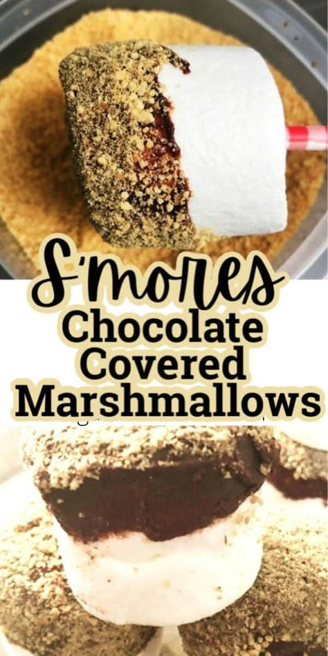 These chocolate dipped marshmallows make the best Smores pops for a summer treat. You can make these ahead of time for a Smores flavored treat that is not messy but delicious. These make cute snacks for a summer party favor too! #smores #easyrecipe #marshmallow #pops #chocolatedipped #dessert Best Smores, Smores Flavors, Smores Pops, Dipped Marshmallows, Chocolate Craft, Covered Marshmallows, Marshmallow Desserts, Candy Room, Summer Cake Recipes