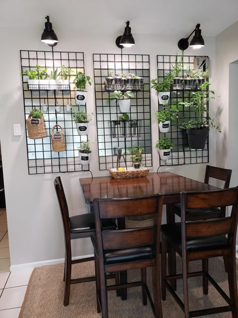 Kitchen Dining Wall Ideas, One Bedroom Apartment Kitchen, Plant Wall Decor Living Room, Gardening Basics, Plant Storage, Plant Room, Plants Decor, Plant Ideas, Plant Decor Indoor