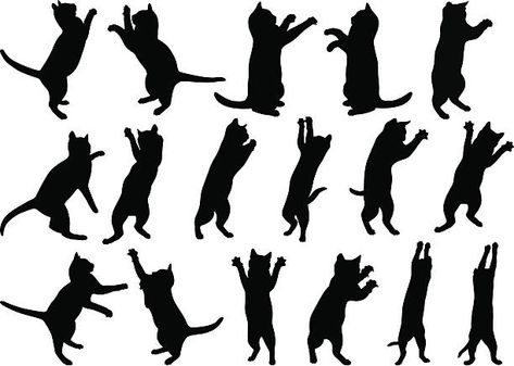 99 Cat Reaching Illustrations, Royalty-Free Vector Graphics & Clip Art - iStock Cat Reaching, Black Cat Illustration, Black Cat Silhouette, Cat Stock, Image Cat, Boy Fishing, Cat Themed Gifts, Cat Vector, Cat Fashion