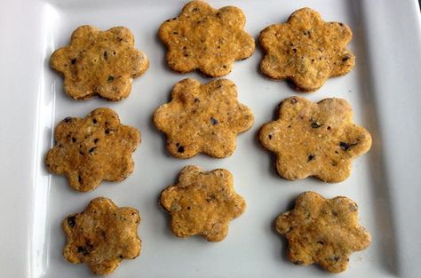 The blueberries add a little sweetness to this homemade dog cookie, while the pumpkin adds some welcome digestive benefits. Pumpkin Dog Treat, Pumpkin Blueberry, Blueberry Pumpkin, Puree Pumpkin, Vegan Dog Treats, Pup Treats, Homemade Dog Cookies, Dogs Treats, Doggy Treats