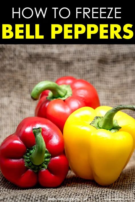 Freezing Red Bell Peppers, Freezing Red Peppers, How To Freeze Red Peppers, Can You Freeze Bell Peppers, Can You Freeze Peppers, How To Freeze Bell Peppers, Freezing Roasted Peppers, Freezer Veggies, Freeze Bell Peppers