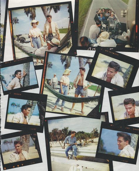 Follow that dream = 1962 - Elvis Presley  in Florida Elvis Polaroid, King Creole, Elvis Movies, Judo, Elvis Presley, Adoption, Polaroid Film, Florida, Film