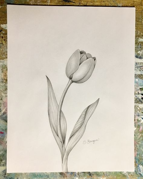 Tulip Picture, Tulip Flower Drawing, Tulip Drawing, Dragon Tattoo Ideas, Sculpture Art Projects, Animal Tattoo Ideas, Crazy Tattoos, Pencil Sketch Images, Dragon Tattoos