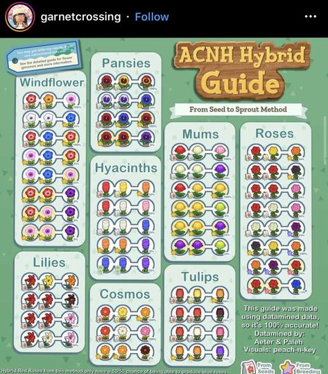 Animal Crossing Simple Island Layout, Animal Crossing Infographic, Animal Crossing Selling Guide, Acnh Crossbreeding Guide, Acnh Start Ideas, Acnh Bush Guide, Harvs Island Animal Crossing, Acnh Nicknames, Good Animal Crossing Island Names