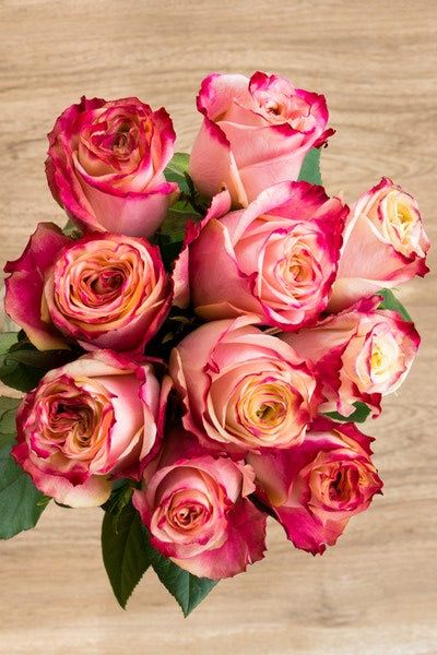 Sweetness is a novelty bicolor rose. It is known for its elegant and beautiful blend of pink, white and cream. Top notch flower. Two Tone Roses, Multi Colored Roses, Different Color Roses, Flower Explosion, 12 Roses, Top Farm, White Rose Bouquet, Roses Bouquet, Flower Stem