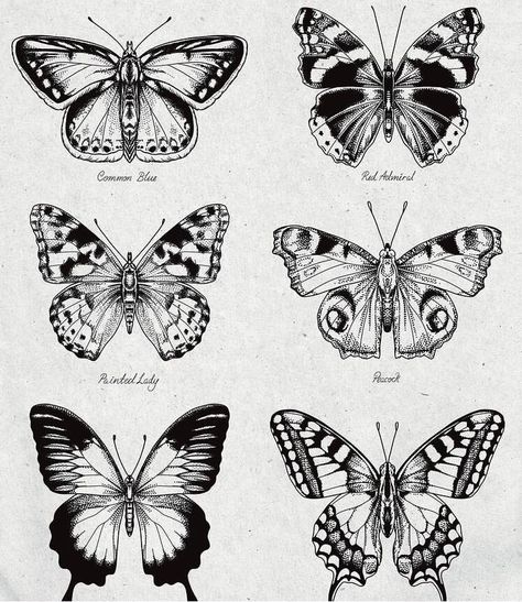 Painted Lady Butterfly Tattoo Black And White, Black And White Butterfly Tattoo, Tattoo Ideas Names, Men's Tattoo Ideas, Men's Tattoo, Borboleta Tattoo, Butterfly Tattoo Stencil, Hannah Jones, Vintage Tattoo Art