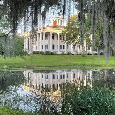 Southern Mansion Aesthetic, Old South Aesthetic, Southern Antebellum Homes, Deep South Aesthetic, Old Southern Homes Interior, Southern Scenery, Antebellum Mansions, 1930 House, Old Southern Homes