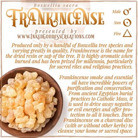 Frankincense Magical Properties, Intuitive Witch, Witchcraft Spirituality, Magical Correspondences, Magickal Herbs, Medicinal Herbs Garden, Magic Herbs, Magical Herbs, Herbal Healing