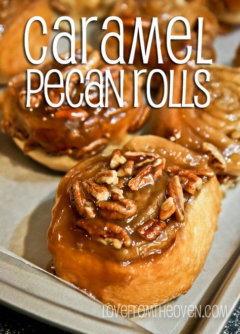 Lots of links to cinnamon roll tips and videos! Caramel Pecan Rolls at www.lovefromtheoven.com Pecan Rolls Recipe, Caramel Pecan Rolls, Caramel Cinnamon Rolls, Caramel Pecan Sticky Buns, Biscuit Cinnamon Rolls, Sticky Rolls, Pecan Cinnamon Rolls, Love From The Oven, Caramel Rolls