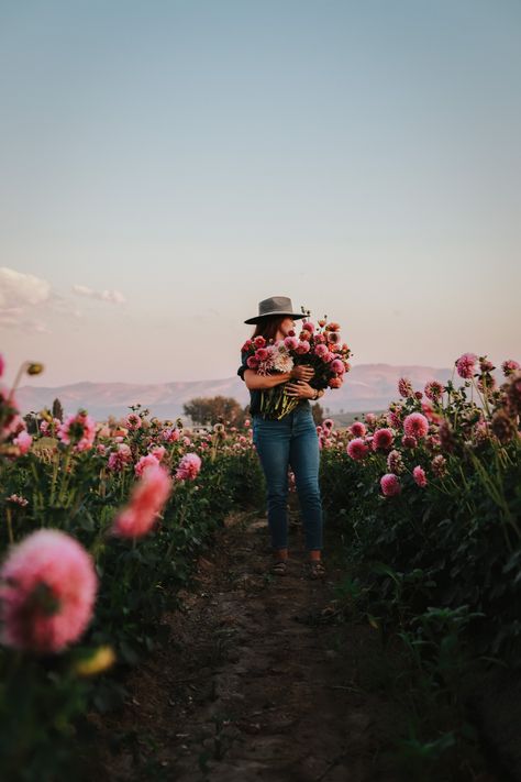 Flower Farmer Portrait, Dahlia Farm Photoshoot, Flower Farm Branding Photoshoot, Flower Farm Photography, Flower Farm Photoshoot Ideas, Dahlia Photoshoot, Dahlia Tips, Flower Farm Photoshoot, Brand Questionnaire