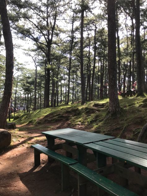 Camp John Hay Baguio, Philippine Photography, Comfort Pics, Camp John Hay, Hellsing Ultimate Anime, Pool Poses, Hellsing Ultimate, Baguio City, School Vibes