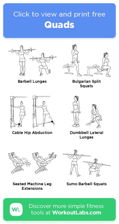 Quad And Core Workout, Quad And Hammies Workout, Quad Excersizes, Quad Cable Exercises, Quads And Hamstrings Workout At Home, Women Quad Workout, Quad Day Workout At The Gym, Quadracept Workout, Home Quad Workouts