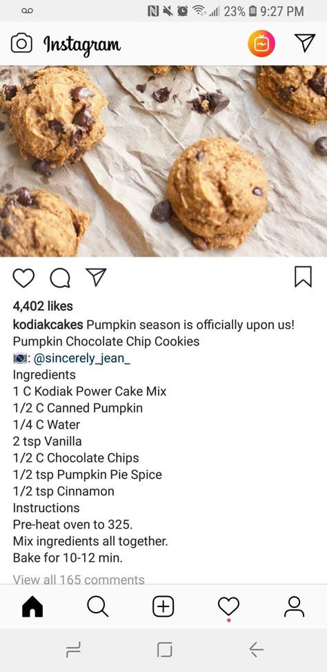 Kodiak Pumpkin, Pancake Cookies, Lactose Free Desserts, Kodiak Cakes Recipe, Healthy Protein Desserts, Protein Chocolate Chip Cookies, Pumpkin Cookies Healthy, Pumpkin Cookie Recipe, Pumpkin Chocolate Chip Muffins