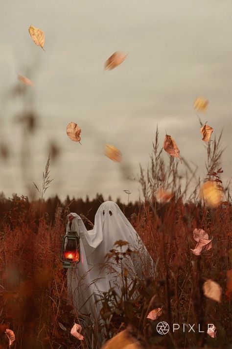 Dream Big Aesthetic, Horror Halloween Makeup, Pumpkin Faces Ideas, Big Aesthetic, Ghost Cute, Halloween Crafting, Image Halloween, Sheet Ghost, Ghost Photography