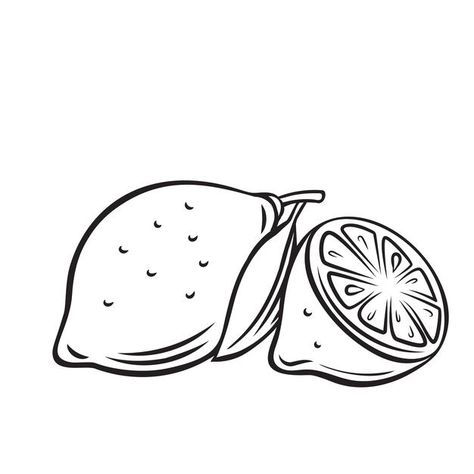 Lemon fruit outline icon, drawing monoch... | Premium Vector #Freepik #vector #food #menu #nature #hand-drawn Lemon Outline, Fruit Outline, Monochrome Illustration, Food Vegetarian, Lemon Fruit, Vector Food, Cozy Cafe, Outline Drawings, Organic Food