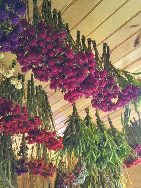 Hanging Flower Stems, Dried Flower Hanging Rack, Dried Flowers Crafts, Peony Farm, Herb Wreath, Dried Flowers Diy, Memorial Flowers, Cut Flower Garden, Flower Landscape