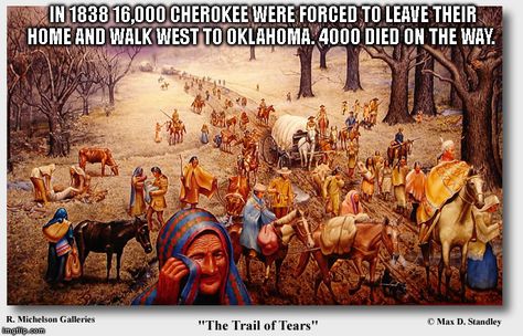 Interesting facts about the Cherokee Tribe. - Album on Imgur Indian Removal Act, Chickasaw Nation, American Wallpaper, Native American Images, Cherokee Indian, Trail Of Tears, Indian Tribes, Question Of The Day, Native American History