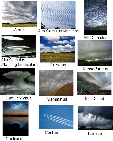 Different Types of Clouds I need to memorize so I stop taking pictures to send to my bro asking what kind they are. Eco School, Cloud Types, Types Of Clouds, Cloud Type, Weather Science, Weather Cloud, Cloud Formations, Weather And Climate, Meteorology