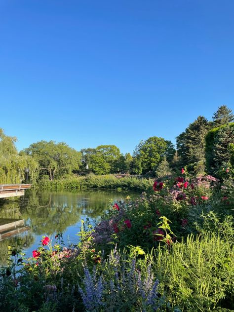 #chicago #botanical #flowers #nature #aesthetic #summer #summervibes Botanical Garden Date Aesthetic, Chicago Summer Aesthetic, Flowers Nature Aesthetic, Maine Aesthetic, Heart Medicine, Chicago Trip, Blueberry Picking, Chicago Summer, Chicago Botanic Garden