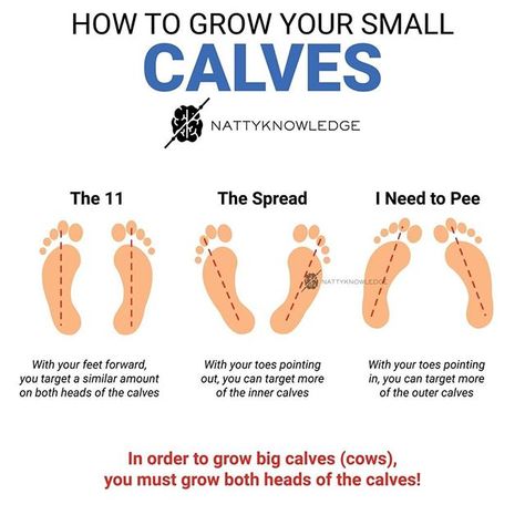 How To Grow Your Calves, How To Grow Calves, Grow Your Calves, Leg Press Foot Placement, Small Calves, I Need To Pee, Need To Pee, Calf Exercises, Smaller Calves