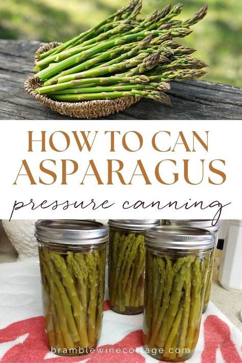 Canning Asparagus, Pickled Asparagus, Pressure Canning Recipes, Low Acid Recipes, Steamed Asparagus, Bacon Wrapped Asparagus, Pressure Canner, Fresh Asparagus, Home Canning