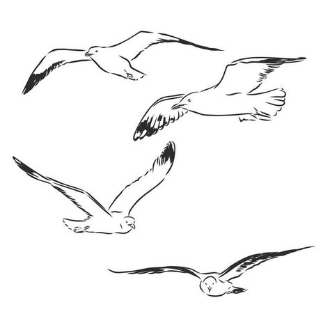 Seagull Illustration Vintage, Flying Seagull Tattoo, Beach Bird Tattoo, Simple Seagull Tattoo, Seagull Tattoo Design, Sea Gull Tattoo, Seagulls Drawing, Seagull Doodle, Seagull Outline