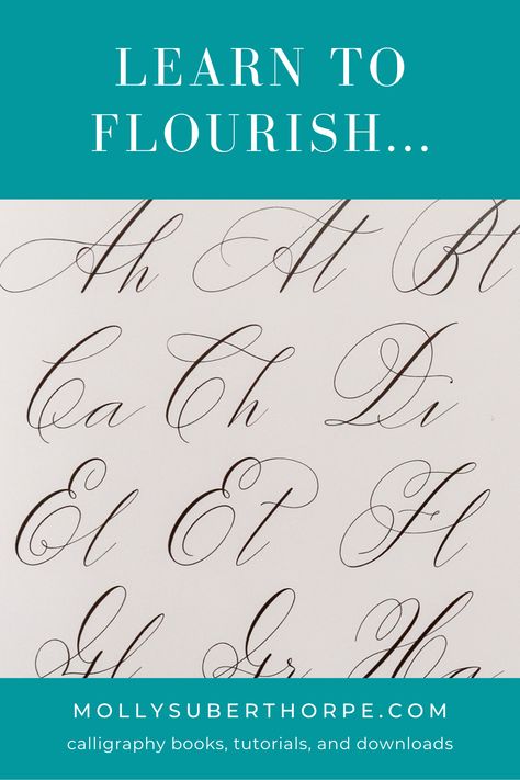 Flourishes Calligraphy Alphabet, Calligraphy Flourishing, Learn Modern Calligraphy, Flourish Calligraphy, Hand Lettering Practice, Copperplate Calligraphy, Calligraphy Practice, Procreate Lettering, Fancy Letters