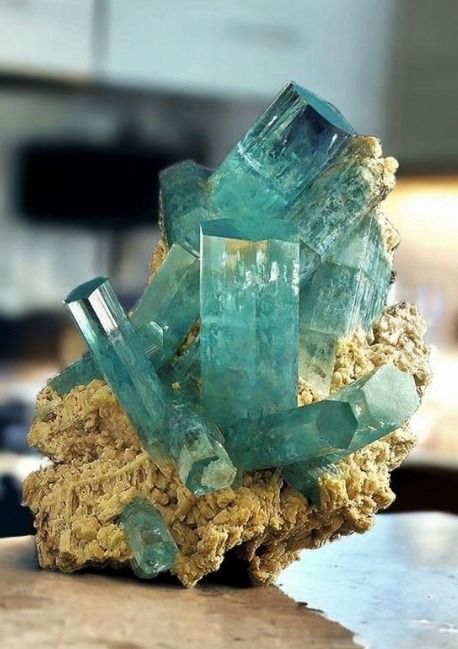 Himalayan Aquamarine 💎✨ Admiring the serene blue hues of aquamarine crystals sourced from the majestic Himalayan mountain range. #HimalayanAquamarine #GemstoneBeauty #NaturalTreasure 🏔️🌊 Pretty Crystals, Hot Rocks, Beautiful Crystals, Rock Steady, Beautiful Stones, Aquamarine Crystal, Minerals And Gemstones, Gem Stones, Aquamarine Blue