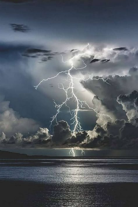 Lightning In The Sky, Lightning Storms, Stormy Skies, Wild Weather, Forces Of Nature, Image Nature, Lightning Storm, Stormy Weather, Lightning Strikes