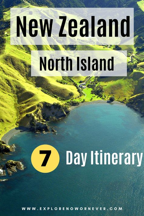 Auckland Travel, Glowworm Caves, New Zealand North Island, New Zealand Road Trip, 7 Day Itinerary, New Zealand Itinerary, North Island New Zealand, New Zealand Adventure, New Zealand Travel Guide