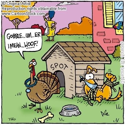 hahaha! that's cute! Funny Thursday Images, Funny Thanksgiving Pictures, Turkey Jokes, Thanksgiving Quotes Funny, Thanksgiving Jokes, Thanksgiving Cartoon, Holiday Cartoon, Dog Thanksgiving, Thanksgiving Greeting