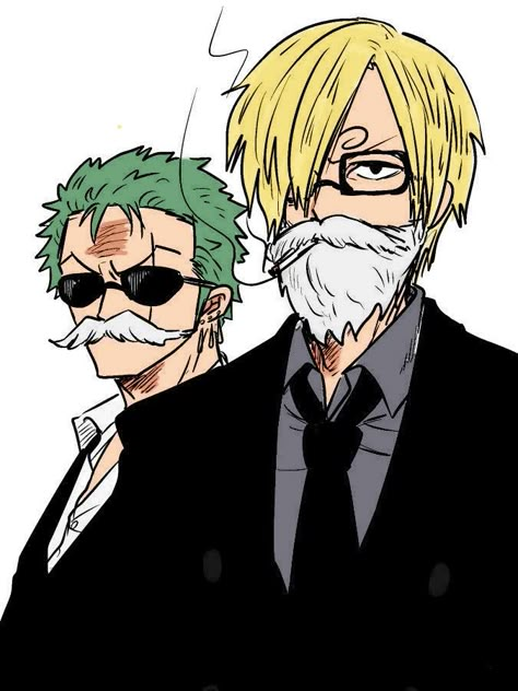 Zoro And Sanji, Sanji Icon, One Piece Wallpaper, Zoro Sanji, Arte Sailor Moon, One Piece Cartoon, One Piece Funny, One Peice Anime, Zoro One Piece