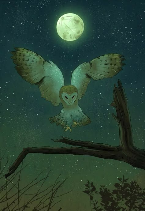 Moonlit Owl Artwork, Barn Owls, Owl Illustration, Night Owl, Art Et Illustration, Arte Fantasy, Owl Art, Barn Owl, Moon Art