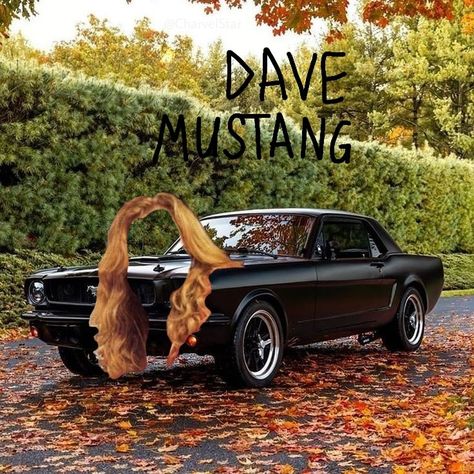 Red hair sitting on a mustang car, with big black letters above reading DAVE MUSTANG Dave Mustaine Funny, Dave Mustaine, Vampire Goth, Music Memes, Orange Hair, Tolkien, Metal Bands, Savannah, Rock N Roll