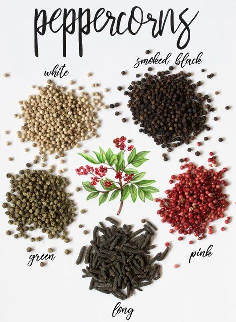 Little piles of different types of peppercorns Different Types Of Salt, Types Of Peppers, Spices Packaging, Gourmet Salt, Spice Mix Recipes, Visual Recipes, Food Receipt, Kitchen Herbs, Pantry Ideas