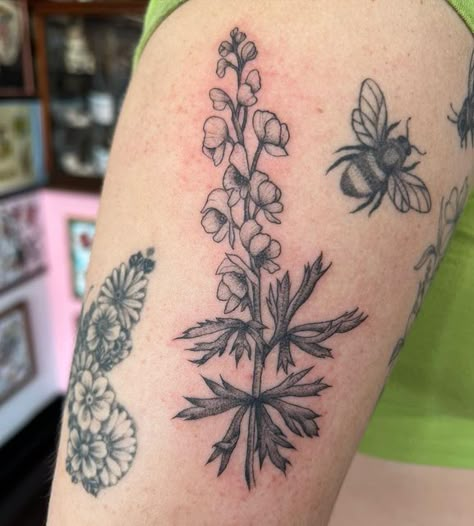 Wolfs Bane Tattoo, Wolfs Bane Flower Tattoo, Wolfsbane Flower Tattoo, Wolfsbane Drawing, Wolfsbane Tattoo, Minecraft Tattoo, Tattoo 2024, Tattoos Inspo, Accent Flowers