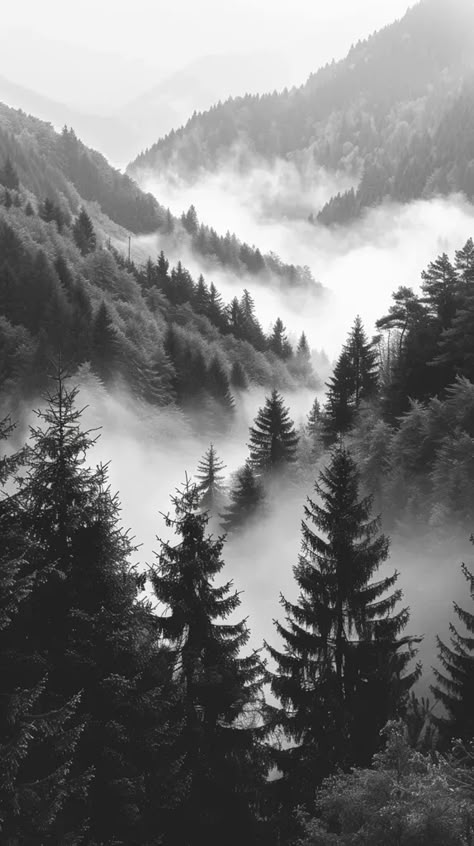 Midjourney AI Image: Black and white photo photography of nature mountains, vintage photography rural united states --ar ... → more in ai-img-gen.com Grey Mountain Aesthetic, Nature Aesthetic Black And White, Black And White Aesthetic Images, Black And White Forest Wallpaper, Black And White Landscape Photography Nature, Black And White Images Aesthetic, Aesthetic Images Black And White, Black Aesthetic Forest, Forest Drawing Black And White