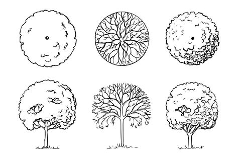 Tree Symbol Architecture, Architectural Trees Plan And Elevation, Tree Top View Drawing, Trees In Plan, Top View Drawing, Tree Top View, Architectural Trees, Tree Drawing Simple, Grass Drawing