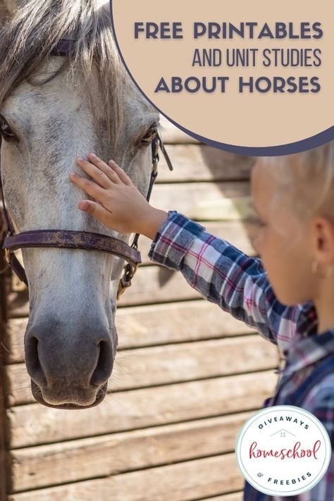 Free Printables and Unit Studies About Horses - Homeschool Giveaways Horse Worksheets Free Printable, Horse Facts For Kids, Articles For Kids, Kids Learning Videos, Horse Crazy Girl, Unit Studies Homeschool, Horse Lessons, Horse Facts, Free Horses