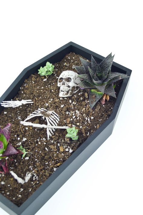 Halloween DIY Coffin Table Planter - Revamperate Skeleton Planter, Coffin Table, Diy Coffin, Plant Vibes, Decorate For Halloween, Zen Zone, Goth Garden, Casa Halloween, Spooky Night