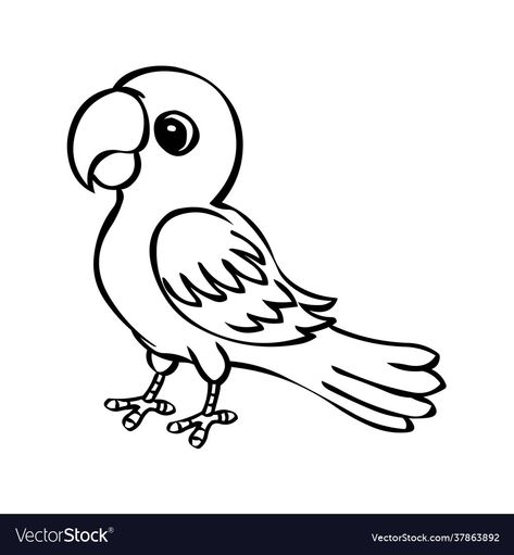 Birds Vector Illustration, Cartoon Parrot Drawing, Parrot Drawing For Kids, Parrot Outline, Parrots Drawing, Parrot Images, Cartoon Bird Drawing, Drawing Parrot, Cartoon Drawing Images