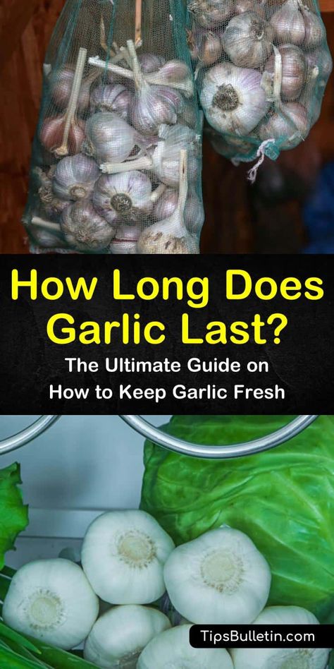 How To Store Garlic Long Term, Fresh Garlic Recipes, Freezing Garlic, Preserving Garlic, Store Garlic, Gardening At Home, Bread Garlic, How To Store Garlic, Garlic Rolls